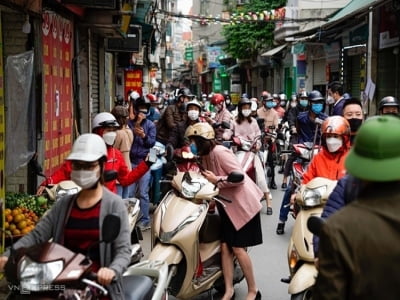 Giả thiết nguyên nhân tỷ lệ F1 thành F0 tại Hà Nội tăng