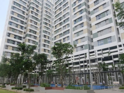 Giá nhà đất liên tục tăng, xuất hiện nhà đất giá 700 tỷ đồng