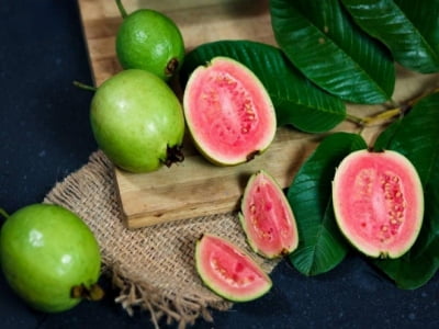 Bất ngờ với một số loại lá tốt cho người mắc bệnh tiểu đường