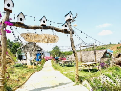 Quán Chép Gia Nghĩa - Đắk Nông chuyên món gà đồi và các món ăn dân dã.