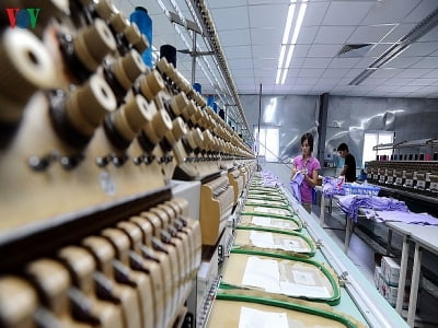 Xuất xứ hàng hóa - yêu cầu quan trọng để hưởng ưu đãi thuế quan EVFTA
