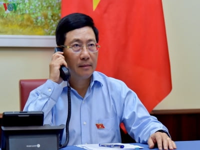 Phó Thủ tướng Phạm Bình Minh điện đàm với Bộ trưởng Ngoại giao Ai Cập