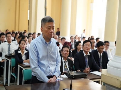 Chồng bà Trương Mỹ Lan giúp sức cho vợ như thế nào?