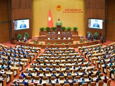 Quốc hội thông qua Luật Đất đai sửa đổi