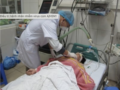 Gần 50% ca nhiễm cúm A/H5N1 tử vong, Bộ Y tế lưu ý 5 điểm này