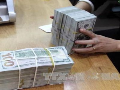 Giá USD hôm nay 23/8