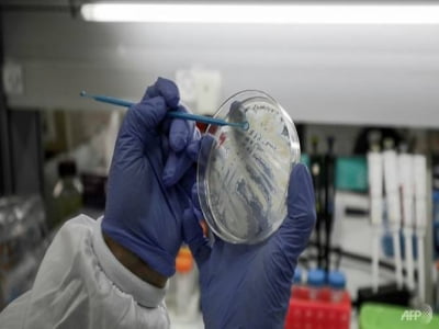Quan sát Cuộc sống Đó đây Hồ sơ Điều gì xảy ra nếu thế giới vẫn chưa tìm ra vaccine ngừa Covid-19?