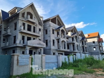 Đề xuất đánh thuế cao với nhà đất bỏ hoang, căn hộ trên 50 triệu đồng/m2