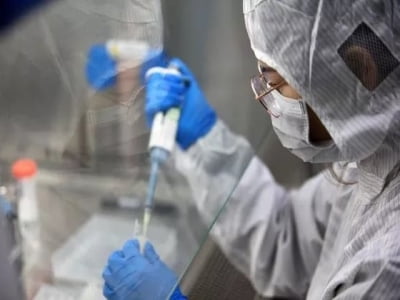 Các nhà khoa học Úc tuyên bố virus corona rất có thể do con người tạo ra