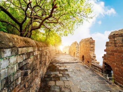 Thay đổi tâm thái có thể biến nghịch cảnh thành thuận cảnh