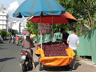 Mận tím Trung Quốc bán đầy đường ở TP. HCM, Hà Nội