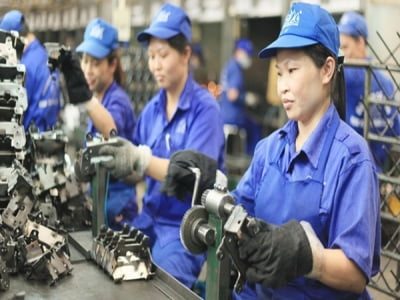 Nâng tuổi nghỉ hưu: Những đối tượng nào được về hưu trước tuổi?