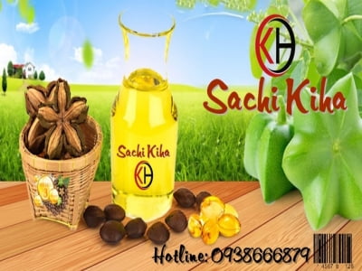 Hạt sachi có những tác dụng gì?