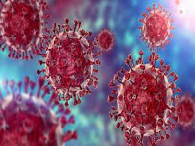 Virus đột biến Delta Plus đã lây lan tăng tốc ra 11 quốc gia, dự đoán có thể còn mạnh hơn Delta